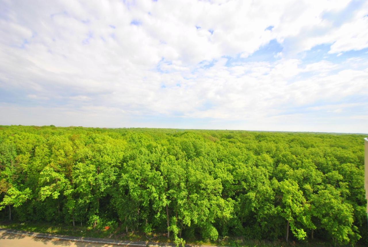 Foresthouse 1 Timisoara Ngoại thất bức ảnh