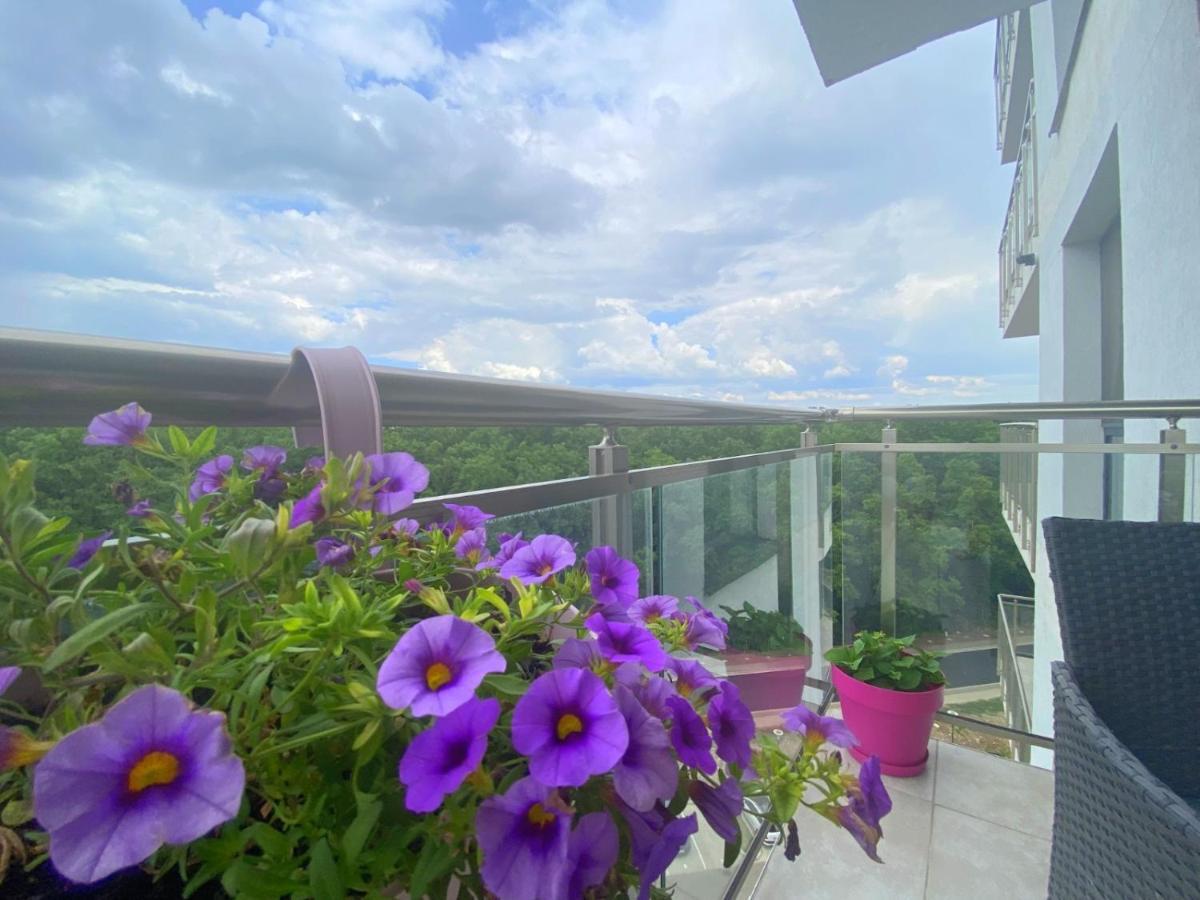 Foresthouse 1 Timisoara Ngoại thất bức ảnh