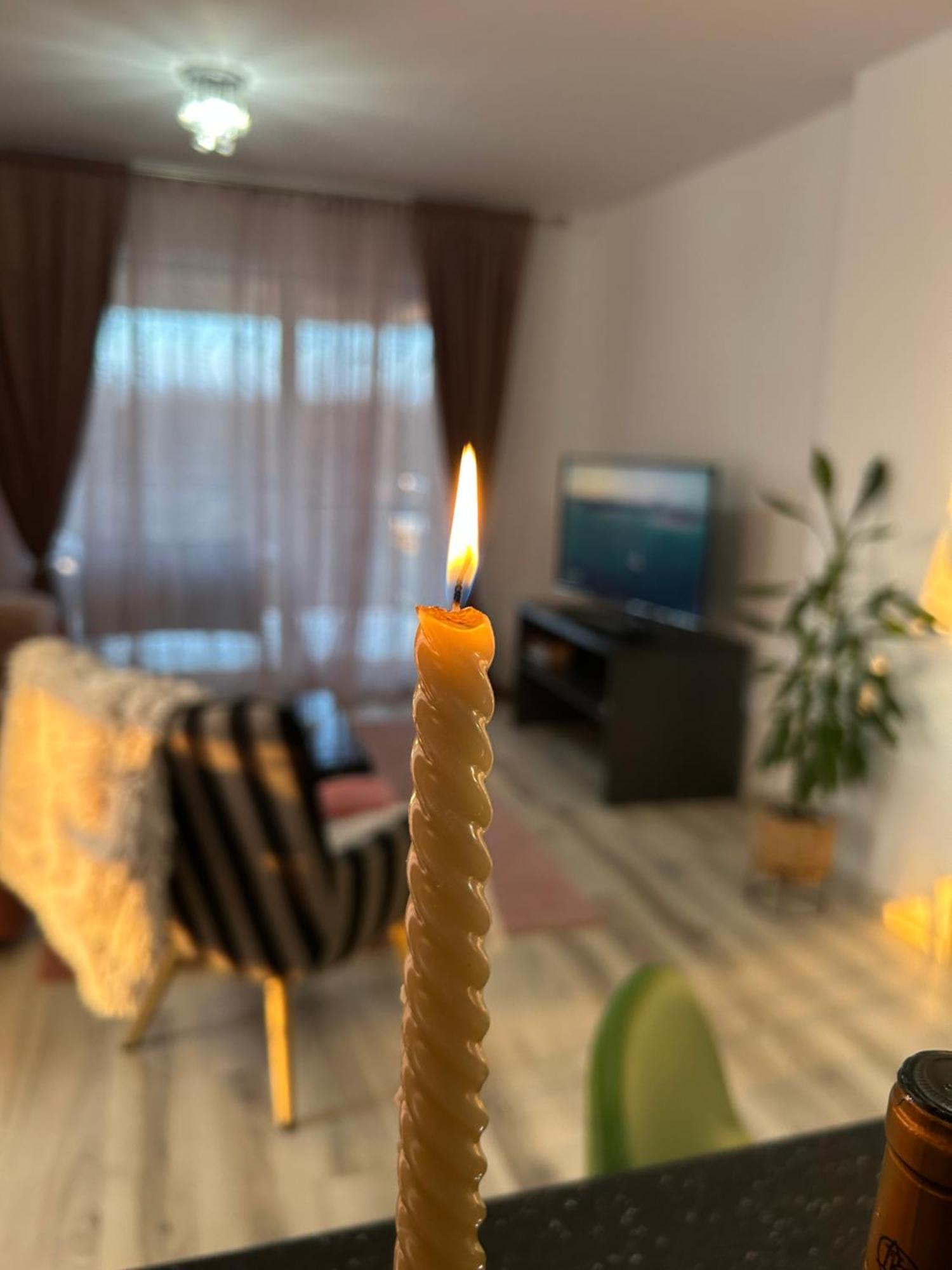 Foresthouse 1 Timisoara Ngoại thất bức ảnh